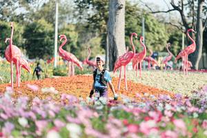 BIB: 
                            <button type="button" onclick="openModal(27344244)" class="btn btn-primary btn-sm float-right btn-popup" data-toggle="modal" data-target=".modal-high-quality">
                        <i class="fas fa-shopping-cart"></i> Add to Cart
                    </button>
                                            <button type="button" onclick="isThisMe(27344244, true)" class="btn btn-success btn-sm float-right btn-popup btn-isme hidden" data-toggle="tooltip" data-placement="bottom" title="นี่คือรูปของคุณใช่ไหม คลิกที่นี่เพื่อเอาเข้าอัลบั้ม">
                        <i class="fas fa-plus"></i> Add to album
                    </button>
                    <button type="button" onclick="isThisMe(27344244, false)" class="btn btn-warning btn-sm float-right btn-popup btn-isnotme hidden">
                        <i class="fas fa-ban"></i> Remove from album
                    </button>